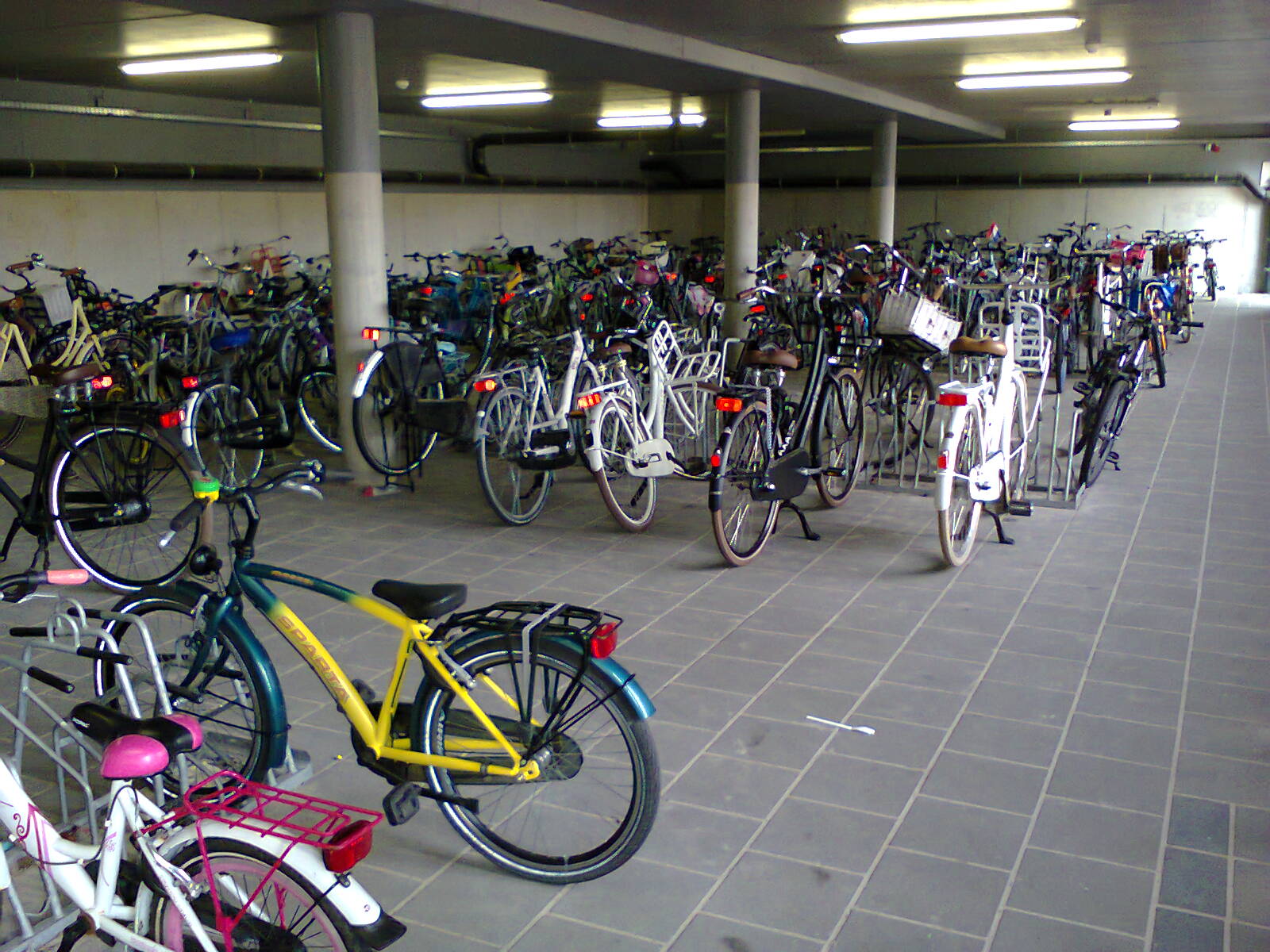 School cycle parking