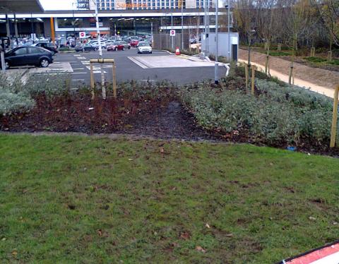 Desire lines at the new Sainsbury's in Selly Oak have already appeared