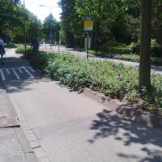 Island bus stop