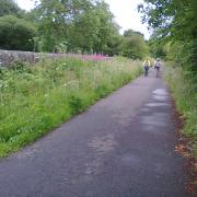 Innocent cyclists