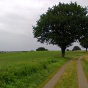 A field way in North Germany